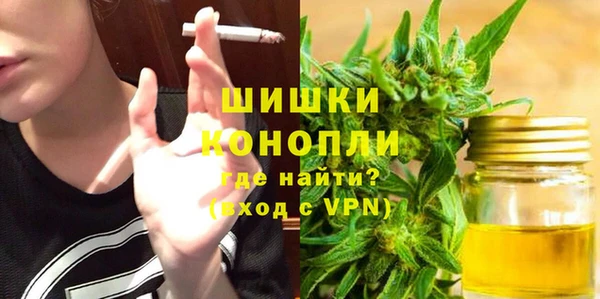 бошки Алексин
