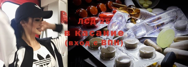 стаф Абаза