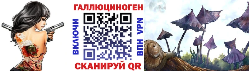 Псилоцибиновые грибы Psilocybe  Димитровград 