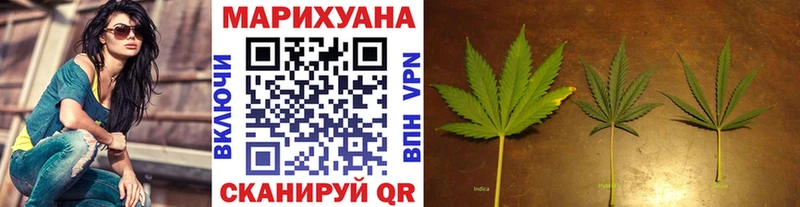Марихуана Bruce Banner  Димитровград 